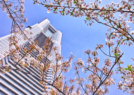 横浜ランドマークタワー