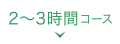 2～3時間コース